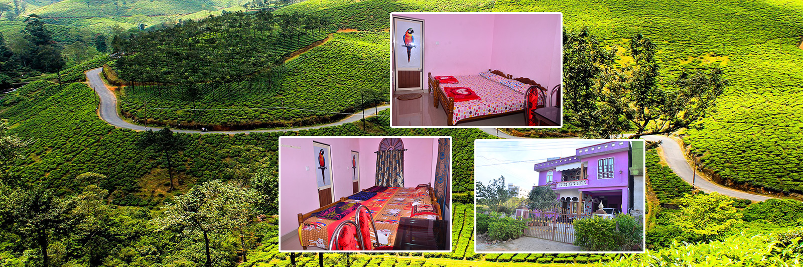 Vagamon Rooms, Homestays, Cottages, Holiday Homes