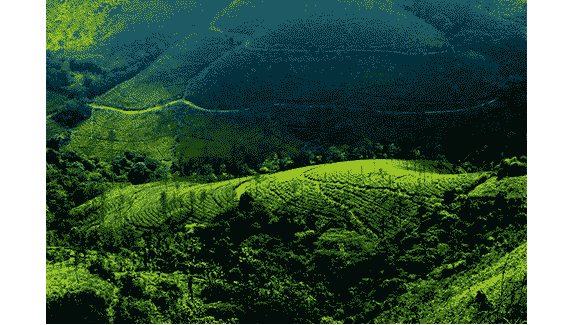 Vagamon Tourism
